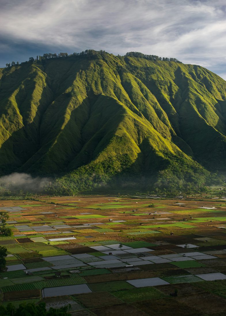 Steep green volcanic ridges falling to a patchwork of rice and vegetable fields near Rinjani, Lombok.