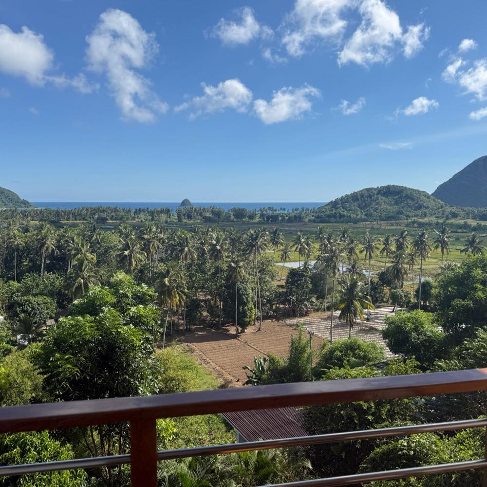 The view from a balcony on Lombok across coconut palms and rice fields to the sea and the hills.
